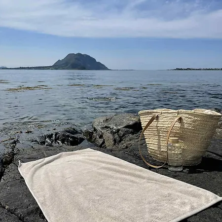公寓 Big Centrally Located On Valderoya With Free Baby Bed And Parking 10min To Airport And 12min To Alesund
