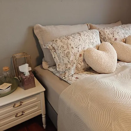 Bright & Spacious By The Sea, Free Parking, 10min To Airport, 12min To Alesund Apartment *